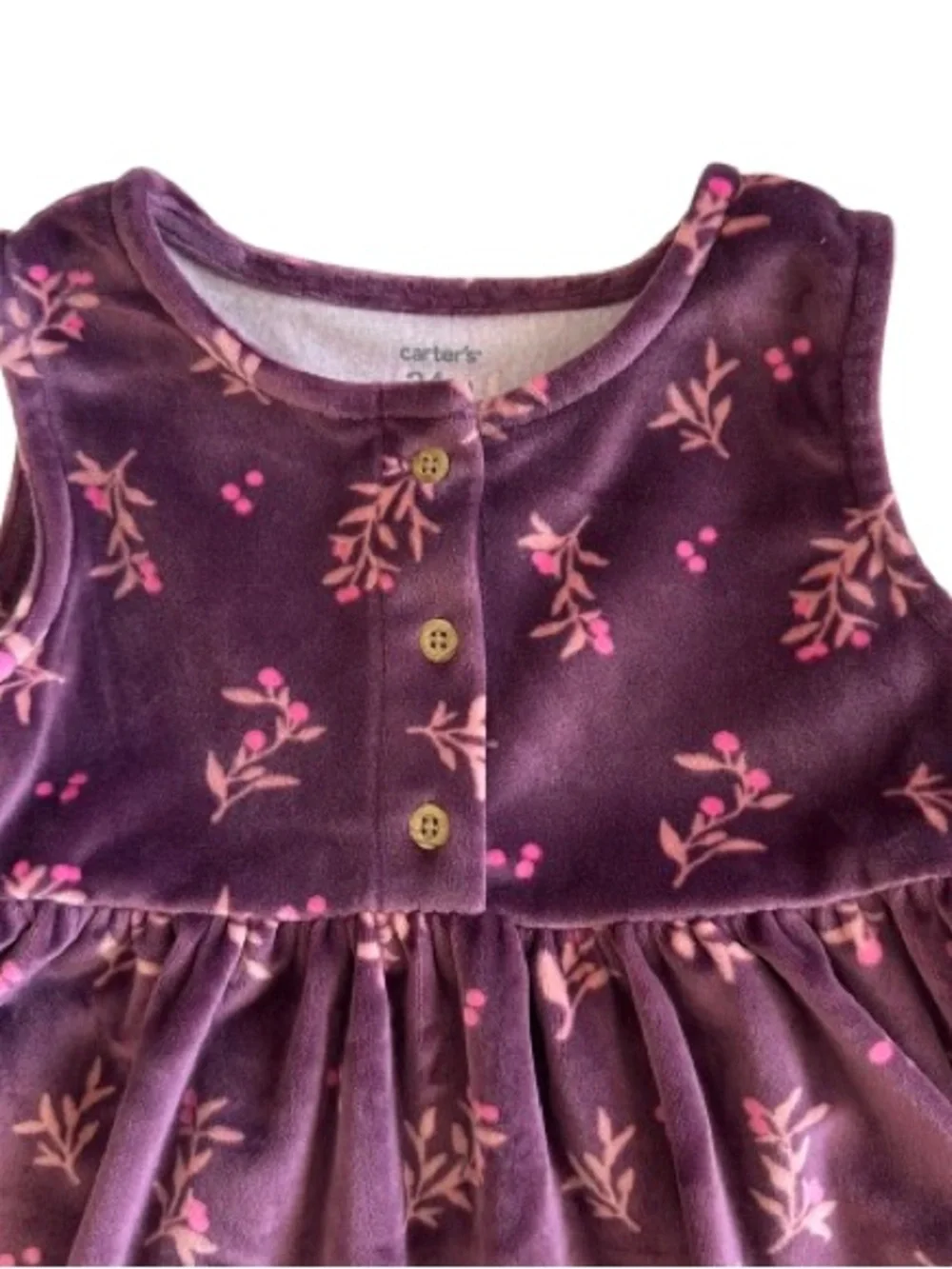 Carter's Girl' 24m Plum & Pink Floral Print Velvet Sleeveless Dress & Round Neck